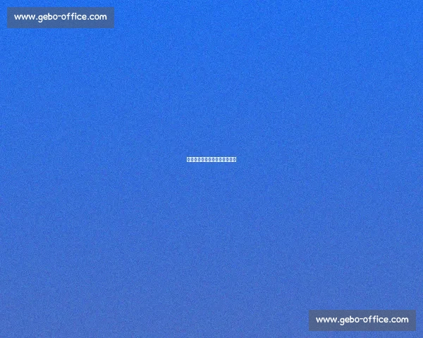 国寿同行：篮球少年的山海之约