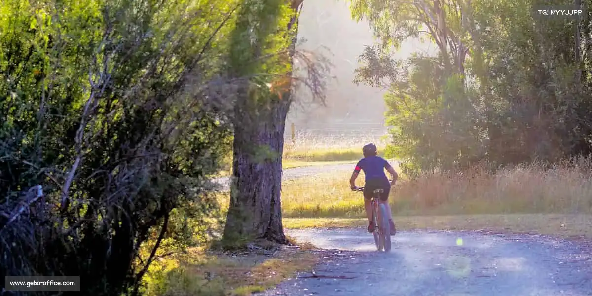 行业领先的理由